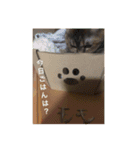 ももちゃんがスタンプに（個別スタンプ：4）