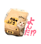 ねころしめむ（個別スタンプ：33）