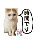 ねころしめむ（個別スタンプ：35）