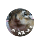 Chipmunks2child（個別スタンプ：11）