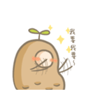 magical potato（個別スタンプ：11）