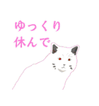 離れて住む家族へ猫と声かけ〜荷物送るよ！（個別スタンプ：17）