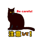 離れて住む家族へ猫と声かけ〜荷物送るよ！（個別スタンプ：39）