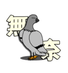 taiwan pigeon life（個別スタンプ：1）