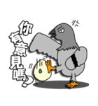 taiwan pigeon life（個別スタンプ：2）