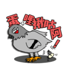 taiwan pigeon life（個別スタンプ：5）