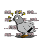 taiwan pigeon life（個別スタンプ：8）