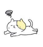 Butter Cat Daily Stickers（個別スタンプ：12）