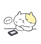 Butter Cat Daily Stickers（個別スタンプ：28）
