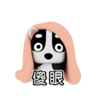 Blanket dog（個別スタンプ：25）