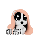 Blanket dog（個別スタンプ：30）