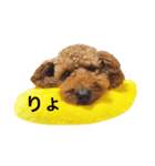 片岡家のチロル（個別スタンプ：1）