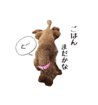 片岡家のチロル（個別スタンプ：3）