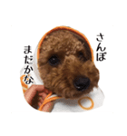 片岡家のチロル（個別スタンプ：4）