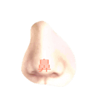 face-details（個別スタンプ：5）