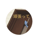 可愛い小鳥（個別スタンプ：14）