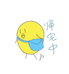 ピヨちゃんとの生活（個別スタンプ：21）