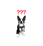 Babb Boss Boss（個別スタンプ：2）