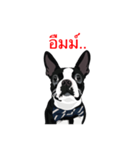Babb Boss Boss（個別スタンプ：5）