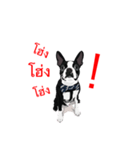 Babb Boss Boss（個別スタンプ：7）