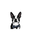 Babb Boss Boss（個別スタンプ：8）