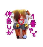 仲良し兄妹❤（個別スタンプ：13）