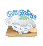 くま寿司（個別スタンプ：21）