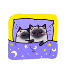 Cute cats in love (N.3)（個別スタンプ：26）