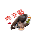 Our life diary（個別スタンプ：20）