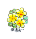 Frangipani flower（個別スタンプ：2）