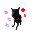 LE LE DOG（個別スタンプ：2）