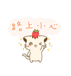 Hani cat-cute kitten sticker 7 food（個別スタンプ：3）