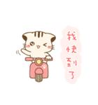 Hani cat-cute kitten sticker 7 food（個別スタンプ：5）