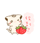 Hani cat-cute kitten sticker 7 food（個別スタンプ：16）