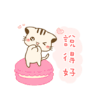 Hani cat-cute kitten sticker 7 food（個別スタンプ：18）