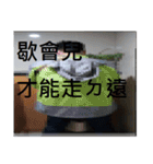phrases of younger generation（個別スタンプ：35）