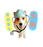 Greedy corgi is me（個別スタンプ：3）