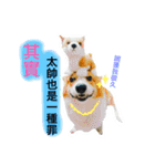 Greedy corgi is me（個別スタンプ：10）