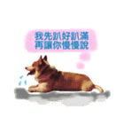 Greedy corgi is me（個別スタンプ：14）