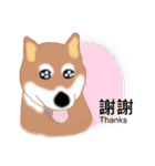 Shiba Inu GO（個別スタンプ：5）