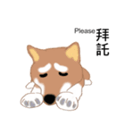 Shiba Inu GO（個別スタンプ：6）