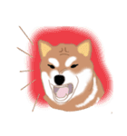 Shiba Inu GO（個別スタンプ：7）