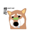 Shiba Inu GO（個別スタンプ：13）