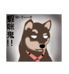 Shiba Inu GO（個別スタンプ：22）