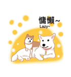 Shiba Inu GO（個別スタンプ：24）