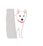 Shiba Inu GO（個別スタンプ：30）