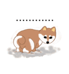 Shiba Inu GO（個別スタンプ：33）