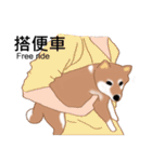 Shiba Inu GO（個別スタンプ：40）