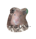 愛すべき生き物たち3（個別スタンプ：2）