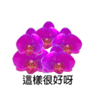 butterfly orchid flower combination（個別スタンプ：1）